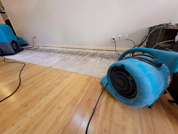 Professional Water Removal technician working in Molalla, OR